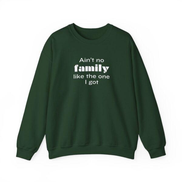 Ain't No Family like the One I Got Crewneck Sweatshirt - Image 4